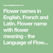 Flower Names In English French And Latin Flower Name With Flower Meaning The Language Of Flowers Flower Names Flower Meanings Language Of Flowers