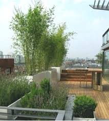 Terrasse Panosundaki Pin