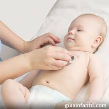 El Rapido Latido Del Corazon De Un Bebe