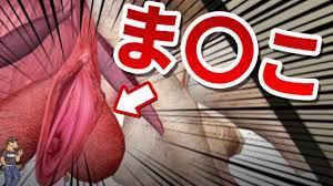 膣の驚くべき構造を詳しく解説！クリトリスやGスポットはどこにあるの？膣にある意味のあるパーツを全て公開 - YouTube