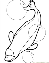 Whale coloring pages to download and print for free. Beluga Whale Coloring Page Free