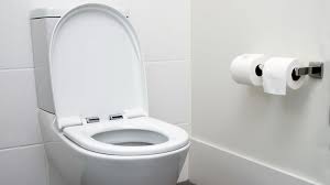 Baking soda and table salt. How To Unclog A Toilet With Baking Soda And Vinegar Angi Angie S List
