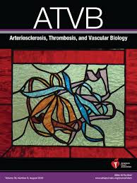 SGLT-2 (Sodium-Glucose Cotransporter 2) Inhibition Reduces Ang II  (Angiotensin II)–Induced Dissecting Abdominal Aortic Aneurysm in ApoE  (Apolipoprotein E) Knockout Mice