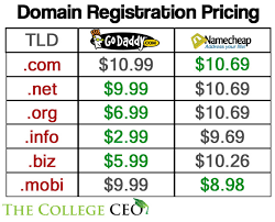 Godaddy Vs Namecheap The College Ceo