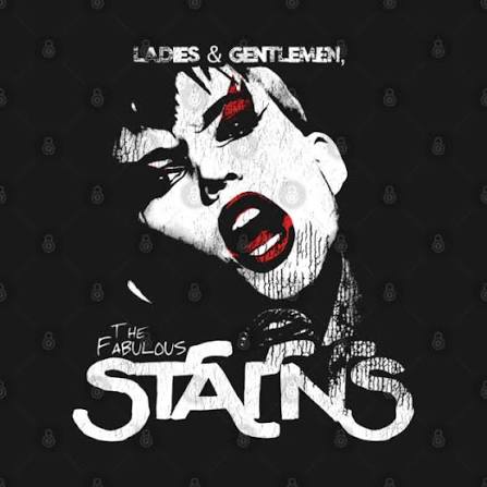 Ladies And Gentlemen, The Fabulous Stains Women's T-Shirt