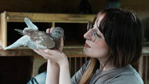 Derby City Pigeon Rescue gives 'overlooked' birds a second chance
