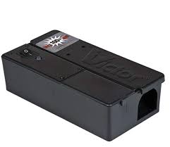 ❓looking for a best mouse trap in 2021? The 9 Best Mouse Traps Of 2021