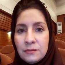 How can I evaluate a conceptual model of successful ageing qualitatively?