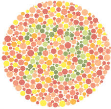 ishihara test for color blindness