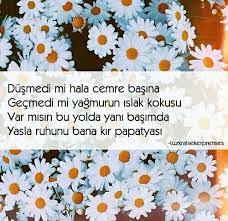 ayse adli kullanicinin papatyalar panosundaki pin resimli alintilar papatyalar guzel hayat