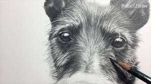 Mehr als 200.000 maschinen sofort verfügbar. Draw A Pencil Portrait Of A Dog Creative Bloq