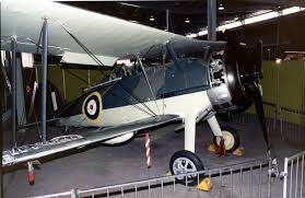 Image result for Gray 1984 Fleet