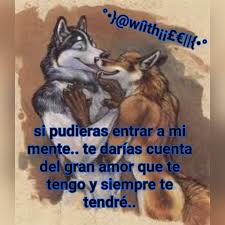 Bela Luna Fotos De Lobo Frases De Lobos Imagenes De Lobos