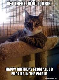 We did not find results for: Hey There Good Lookin Happy Birthday From All Us Puppies In The World The Most Interesting Cat In The World Make A Meme