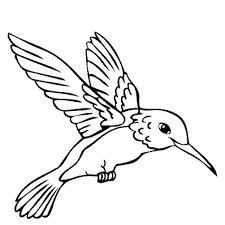 Color Book Humming Birds Hummingbird Coloring Page Color A Humming Bird Bird Outline Hummingbird Drawing Bird Coloring Pages