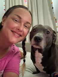 Pitbull Dachshund Mix Dog Introduction and Community Interaction