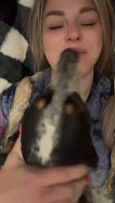 Lifehack #241 of 365 If your dog doesn't like someone