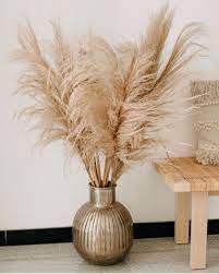 Pampas Grass For Your Home Or Wedding Check Out The Number One Pampas Grass Company On Etsy Instagram Luxe Idees Decoration Maison Deco Deco Interieur Salon