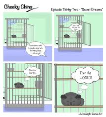 With robert gilabert cuenca, allen deng, dilraba dilmurat. Cheeky Chins Episode 32 Sweet Dreams Chinchilla Gems Art Furry