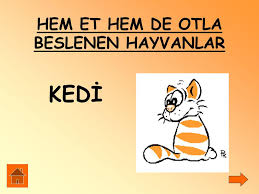 Ders Adi Hayat Bilgisi Konu Adi Cevremizdeki Canlilar Hazirlayanlar Ppt Indir