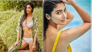 Pooja Hegde caught red handed by police for drunk driving? Manager clears  the air