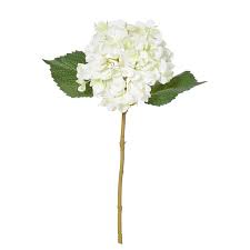 Maybe you would like to learn more about one of these? Artificial Hydrangea Stem White 9331460251024 Flower Power