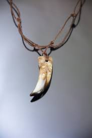 We did not find results for: Tooth Necklace Faux Large Fang Tribal Lion Teeth Jewelry Ivory Etsy