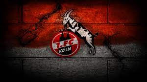 Finden sie ein bild, das sie als hintergrundbild setzen möchten, und klicken sie auf die herunterladen schaltfläche unter dem bild. Fc Koln Wallpaper 3 Png Hd Wallpapers Hd Images Hd Pictures