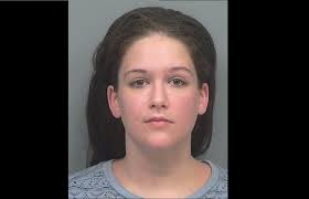 Gwinnett sex offender charged with working too close to schools