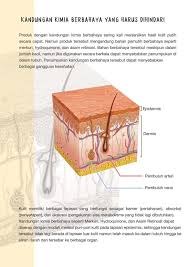 Pin Oleh Lacoco Jakarta Di Catalog Lacoco En Nature Produk Kulit Kimia