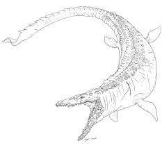 Sean Kiley Jw Mosasaurus Mosasaurus velociraptor ankylosaurus tyrannosaurus drawing, jurassic park, marine mammal. sean kiley jw mosasaurus