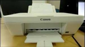 The canon pixma mg2500 is the ideal printer engine choice for you. Canon Pixma Mg2500 Printer Review Youtube