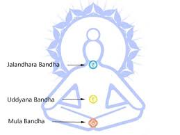 Maybe you would like to learn more about one of these? Mula Bandha Die Energie Kontrollieren Diana Yoga Blog