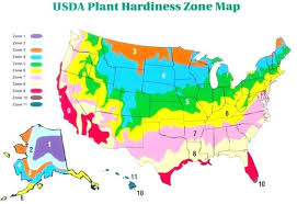 Zone 6 Planting Guide Floresia Co