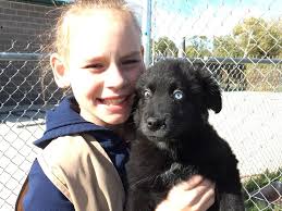 Strong for Anna (@strongforanna) • Facebook