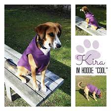 freebook hundehoodie handmade kultur hunde mantel hunde pullover hundemantel nahen