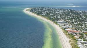 And, the most recent report from pinellas county shows the harmful algae bloom is moving north. Red Tide Worsens In Pinellas County Tons Of Dead Fish Removed Tampa Bay Business Journal