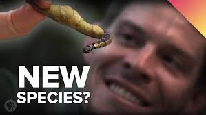 How to Help a Scientist Find a New Species