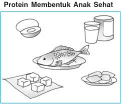 Manfaat makanan 4 sehat 5 sempurna selanjutnya adalah menunjang tumbuh kembang otak anak. Bahasa Indonesia Kelas 3 Sri Marheni Sri Eny Lestari 2009