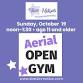 Open Aerial Gym at Stars In Motion event image