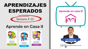 Aprendizajes Esperados Semana 20 Del 25 Al 29 De Enero De Aprende En Casa Iii