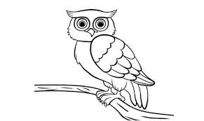 Bersumber dari wikipedia.org, burung adalah kelompk hewan bertulang belakang. 11 Gambar Sketsa Burung Mudah Dan Simple Broonet