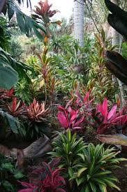 Based in riverview, we service the entire greater moncton area. 160 Riverview Landscape Ideas In 2021 Tropical Landscaping Backyard Landscaping Landscape Design