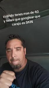 Skin Significado