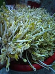 Sedang mencari gamis tapi tidak mau terlihat gemuk? Assalam Tanam Taugeh Sendiri Makan Sedap Johor Facebook