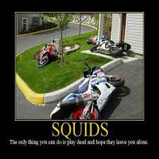 Pin On Motos