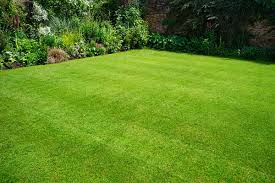 Uncle's idiot proof lawn fertilizer program. Best Lawn Fertilizer For Your Lawn 2019 Update House Method
