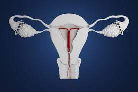 Here S What Your Female Patients Need To Know About Iud Options In 2020 Obp