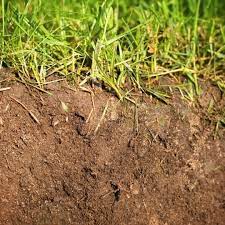 You can buy soil tests at commercial garden centers and local county agricultural extension offices, or you can order a home test kit. Reasons To Test Your Soil S Ph Level