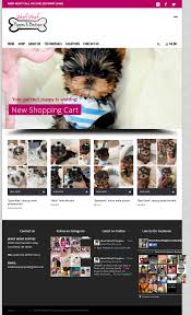 On the street of northwestern highway and street number is 29555. Woof Woof Puppies Boutique S Competitors Revenue Number Of Employees Funding Acquisitions News Owler Company Profile